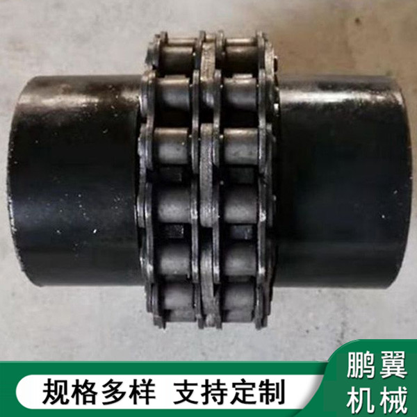  遼寧滾子鏈聯(lián)軸器